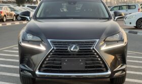 Lexus NX300 2020