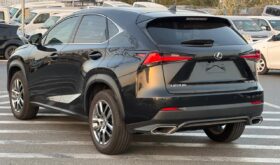 Lexus NX300 2020