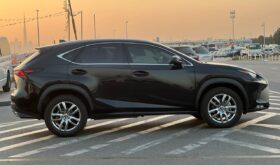 Lexus NX300 2020