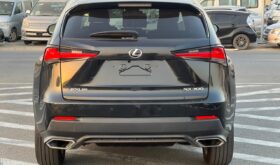 Lexus NX300 2020