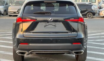 
										Lexus NX300 2020 full									